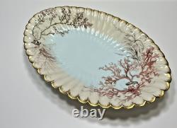 1886 Limoges Hand Painted Oval Platter Bowl Seaweed Shells Scalloped Edge 15.5