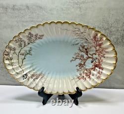 1886 Limoges Hand Painted Oval Platter Bowl Seaweed Shells Scalloped Edge 15.5