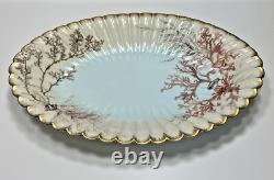 1886 Limoges Hand Painted Oval Platter Bowl Seaweed Shells Scalloped Edge 15.5