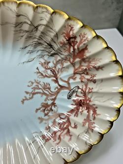 1886 Limoges Hand Painted Oval Platter Bowl Seaweed Shells Scalloped Edge 15.5