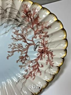 1886 Limoges Hand Painted Oval Platter Bowl Seaweed Shells Scalloped Edge 15.5