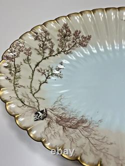 1886 Limoges Hand Painted Oval Platter Bowl Seaweed Shells Scalloped Edge 15.5