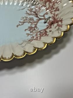 1886 Limoges Hand Painted Oval Platter Bowl Seaweed Shells Scalloped Edge 15.5