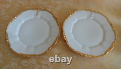 18Pcs Antique Limoges Hand Painted Dinner Set White Gold Trim Dinner Set