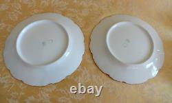 18Pcs Antique Limoges Hand Painted Dinner Set White Gold Trim Dinner Set