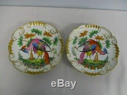 2 Rare Antique Limoges Hand Painted Exotic Bird Of Paradise Plates 9 Excellent
