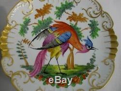 2 Rare Antique Limoges Hand Painted Exotic Bird Of Paradise Plates 9 Excellent