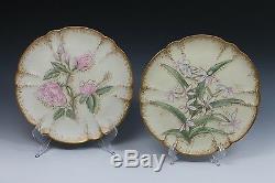6 LIMOGES Satin Finish Hand Painted Plate Plates Haviland 19th Cent. 1876-1880