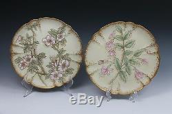 6 LIMOGES Satin Finish Hand Painted Plate Plates Haviland 19th Cent. 1876-1880