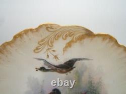 6 Redon Limoges Plates France Birds Hand Done