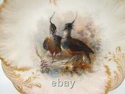 6 Redon Limoges Plates France Birds Hand Done