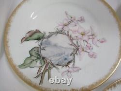 7 Antique Haviland Limoges & Co H&C L 19th Hand Painted Plates, Diff Scenes