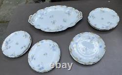 9 Piece Floral Decorated Antique Limoge Porcelain Dessert Set