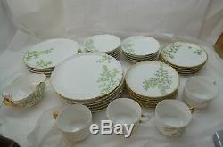 ANTIQUE LIMOGES CHINA HAND PAINTED MAIDEN HAIR FERNS CFH HAVILAND 36 PC SET d