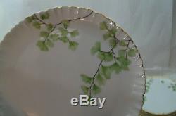 ANTIQUE LIMOGES CHINA HAND PAINTED MAIDEN HAIR FERNS CFH HAVILAND 36 PC SET d