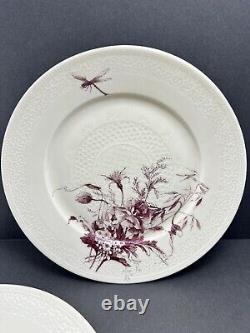 Antique 1880s Haviland Limoges Floral Dragonfly 91/2 Plate Set Hand Painted