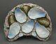Antique Crescent Fish Net Hand Painted Porcelain Oyster Plate Pink Blue Brown