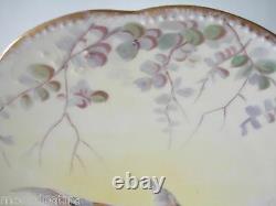 Antique French Limoges Hand Painted Bird Wildlife Plate 9 1/2