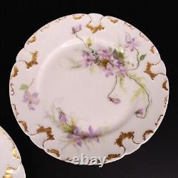 Antique GDA Limoges France Hand Painted Bread Plates Set Of 8 Botanical Floral