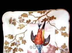 Antique Game Plate Rare Colorful Pheasant