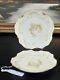 Antique Hand Painted 19th Century Limoges France Pair Of Decorative Plate