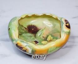 Antique Hand Painted A. B. W. Signed Floral Gold Gilt Floral Porcelain Footed Bowl