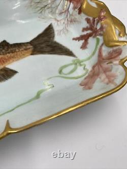 Antique Hand Painted Limoges Haviland Fish Platter Plate Gilt Porcelain