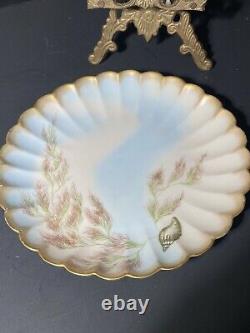 Antique Hand Painted Plates 9 Limoges RARE Seashells H&C L France Signed