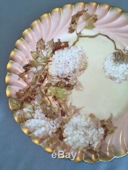 Antique Hand Painted Signed Franz A. Bischoff Limoges Plate Hydrangeas Collector