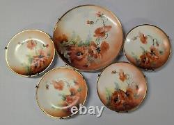 Antique Limoges D&C France Flower Plate Set Set of 5 With Brass Hangers