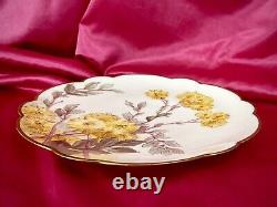 Antique Limoges France Charger Plate Hand Painted Yellow Flowers Dandelions