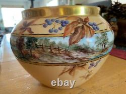 Antique Limoges France Hand Painted Center Bowl Porcelain