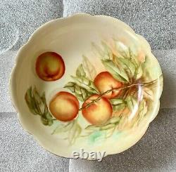 Antique Limoges Hand Painted Bowl or Serving Platter Rare