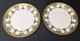 Antique Pair T&v Limoges France Hand Painted Signed By Artist Gold Rim Plate