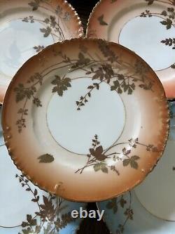 Antique Set Of 6 Haviland Limoges Hand decorated Butterfly & Floral Ombré Plate