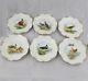 Antique Set Of 6 Charles Field Haviland Limoges Hand Painted Bird Plates 8-3/4 A