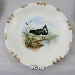 Antique Set of 6 Charles Field Haviland Limoges Hand Painted Bird Plates 8-3/4 A