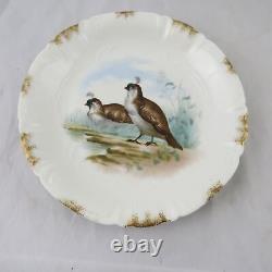 Antique Set of 6 Charles Field Haviland Limoges Hand Painted Bird Plates 8-3/4 A