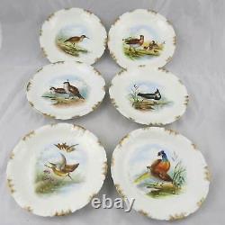 Antique Set of 6 Charles Field Haviland Limoges Hand Painted Bird Plates 8-3/4 B