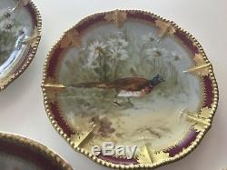 Antique Vintage Limoges Platter, 8 plates, hand painted birds early 1900's