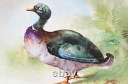B&H Limoges Hand Painted Signed Henriot Mallard Duck 12 5/8 Inch Charger C. 1890s