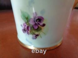 Bavaria Chocolate Tea Pot & Limoges Trivet, Handpainted Violets, Schindler