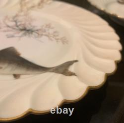 C. 1876 Haviland Limoges France 8 3/8 Sea Life/Fish Luncheon Plates Hand Painted