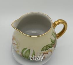 Captivating W. G. & Co. Limoges Hand-Painted Water Lillies Cider Pitcher