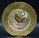 Charles Martin Limoges Hand Painted Enameled Gold Encrusted Game Bird Plate B