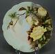 D&co Limoges Hand Painted Yellow Roses & Gold 8 5/8 Inch Plate Circa 1891-1896