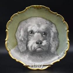 Flambeau Limoges Hand Painted Grey Shih tzu Dog 9 3/4 Portrait Plate Charger