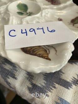 French Haviland Limoges Porcelain Hand Painted Fish Clam Oyster Plate 1880-1889