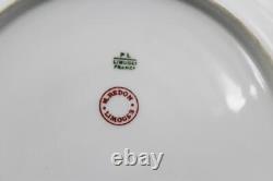 French Limoges Porcelain Set of 9 Dinner Plates by M. Redon Rose Swags with Gold