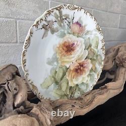 Gorgeous T & V Limoges France Hand painted Rose Plate